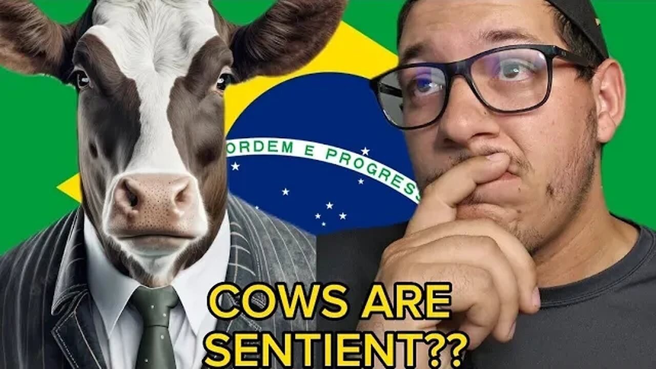 Cows Ruled sentient beings???