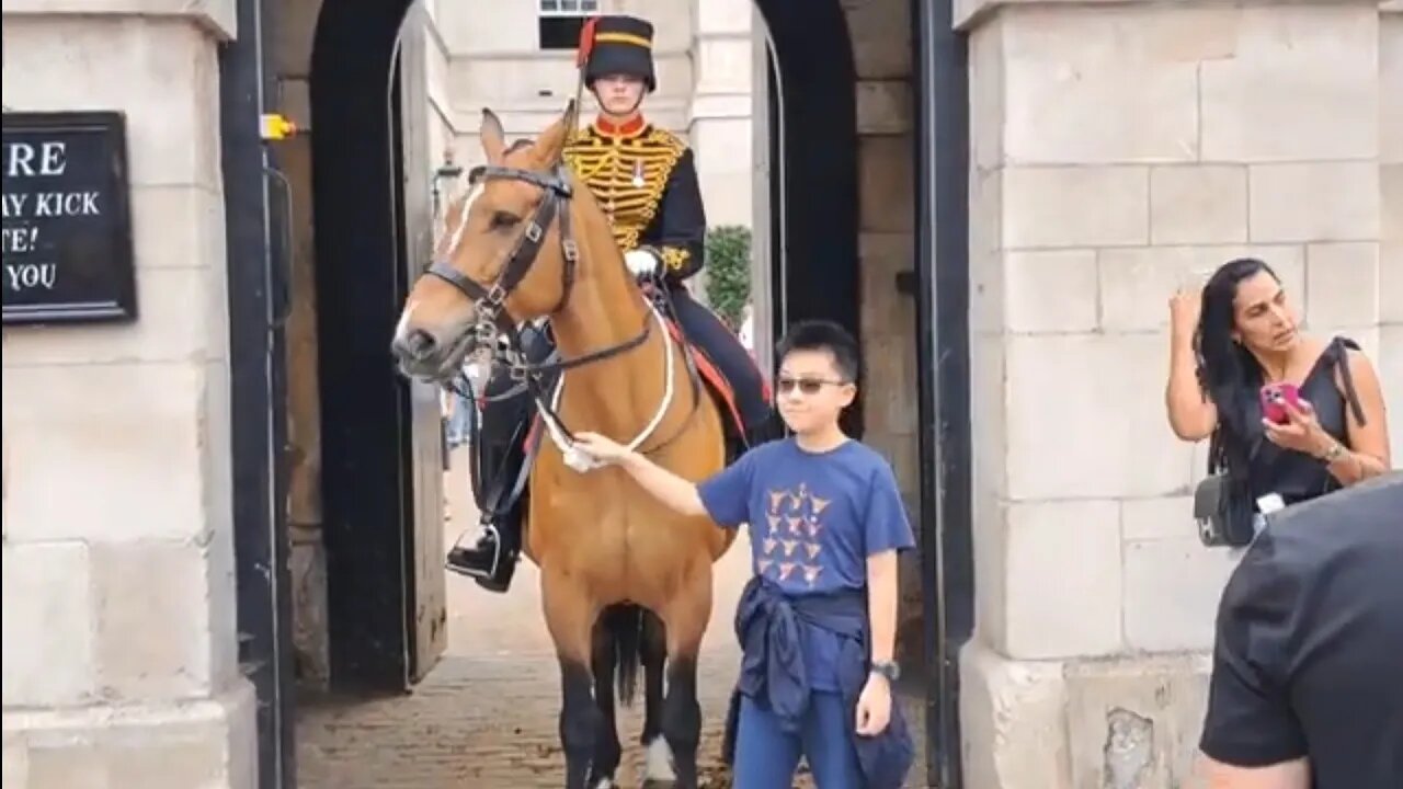 A young boy holds the reins #horseguardsparade