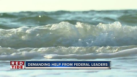 Pinellas Business owners and scientists ask federal leaders for red tide help