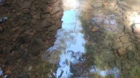 Ripples