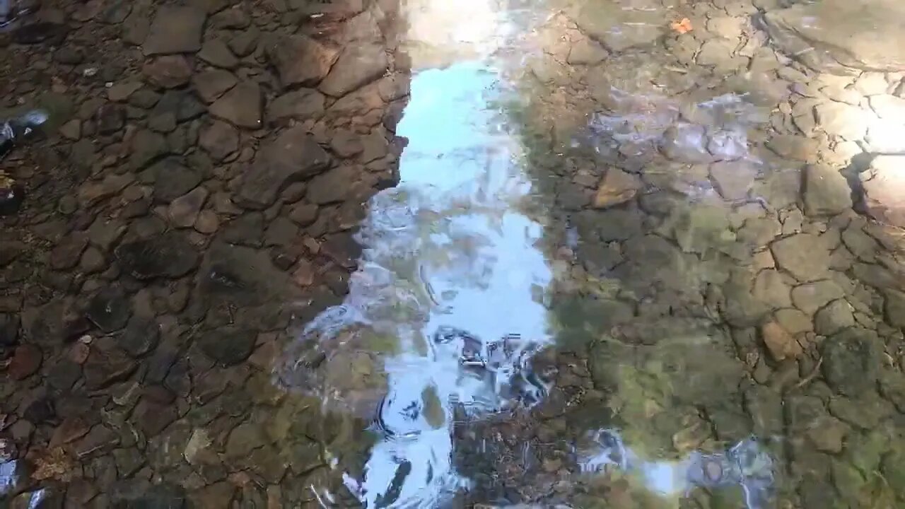 Ripples