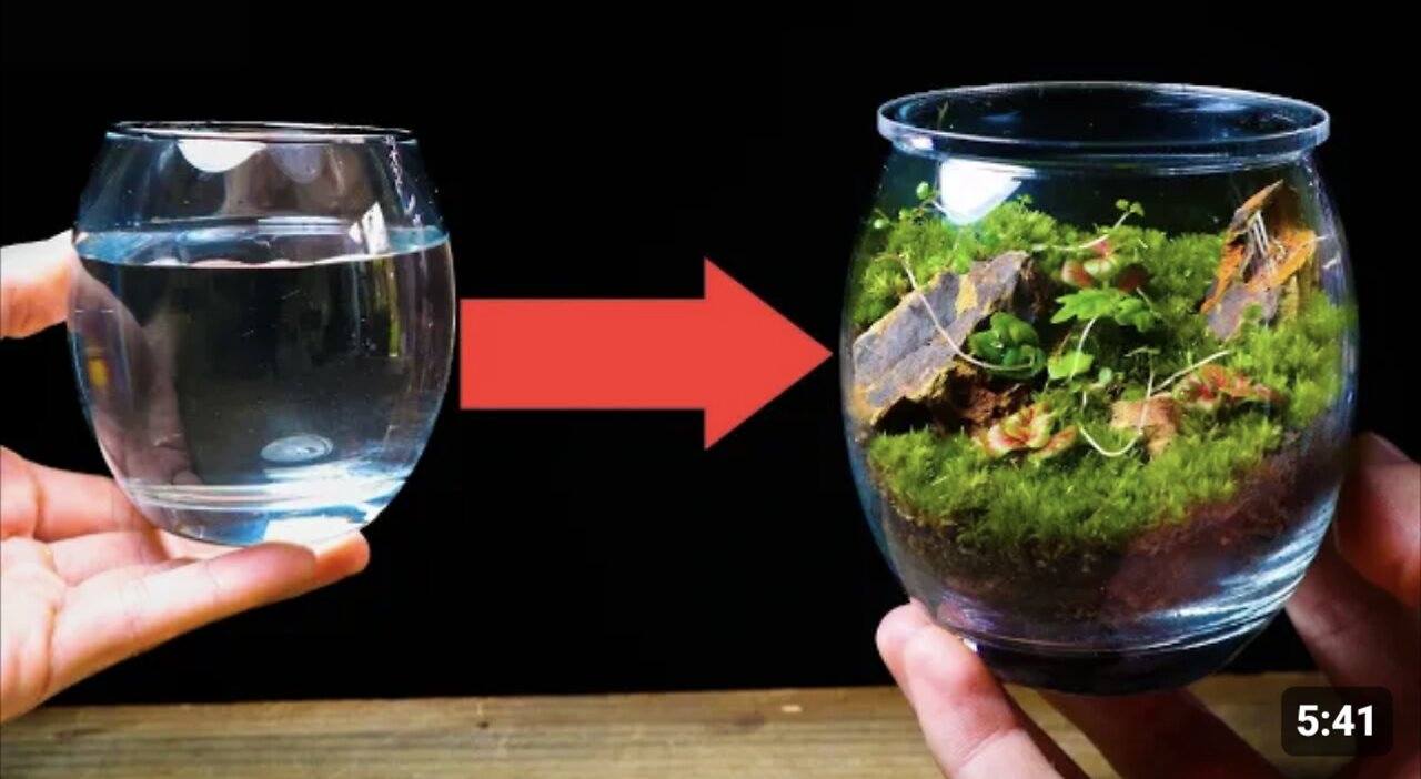 Turning a Drinking Glass Into a Terrarium!