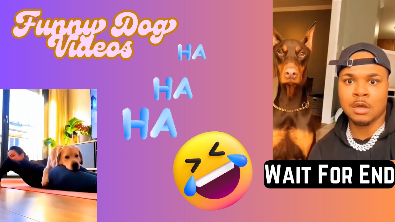 The Ultimate Funny Dog Video Compilation! WAIT FOR END