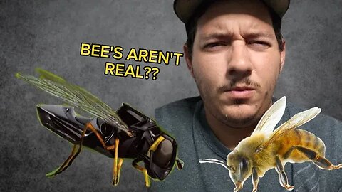 Wait... are Bee's not real??