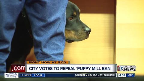 Las Vegas City Council votes to repeal 'Puppy Mill Ban'