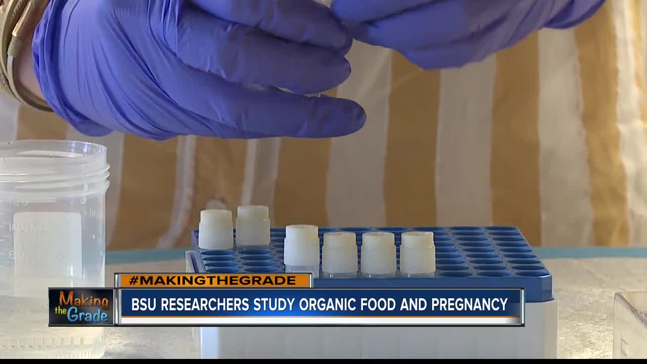 BSU researchers study organic food effects on pregnancy