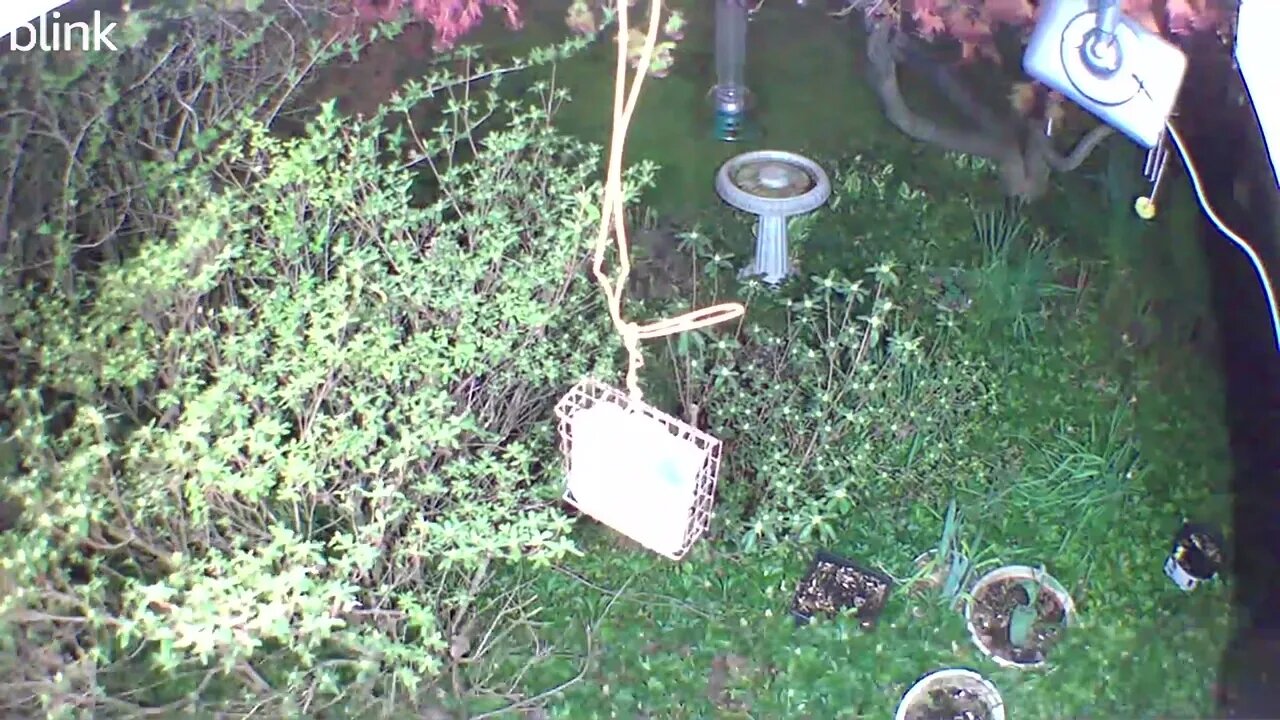 1_WEST_FLOODLIGHT_VIDEO_CAM_2023-04-06T02_33_32-0400.mp4