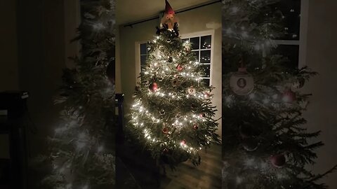 Merry Christmas From The Sungrown Family