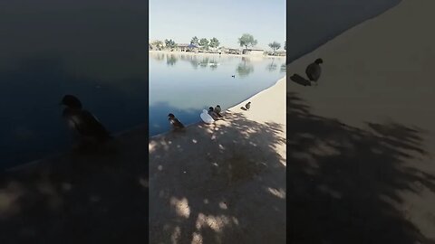Lake in desert