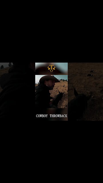 Lost and Found. Tracking Down Cows in Montana's Mountain Maze! 🐮🌄