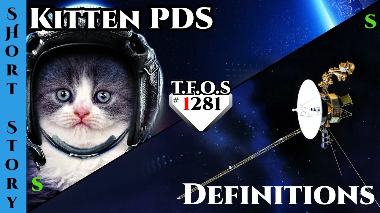 Reddit Story | Kitten PDS & Definitions | HFY | Humans Are Space Orcs 1281