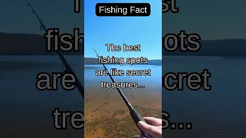 Fishing Facts #shorts #fishing #fishingfanatics