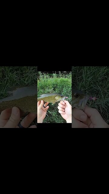 creek fishing with purple grubs!