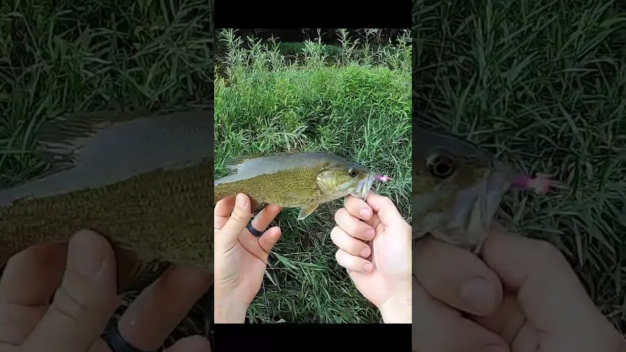 creek fishing with purple grubs!