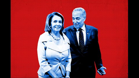 Nancy Pelosi & Schumer Talking About Illegal Immigration In 2008/9