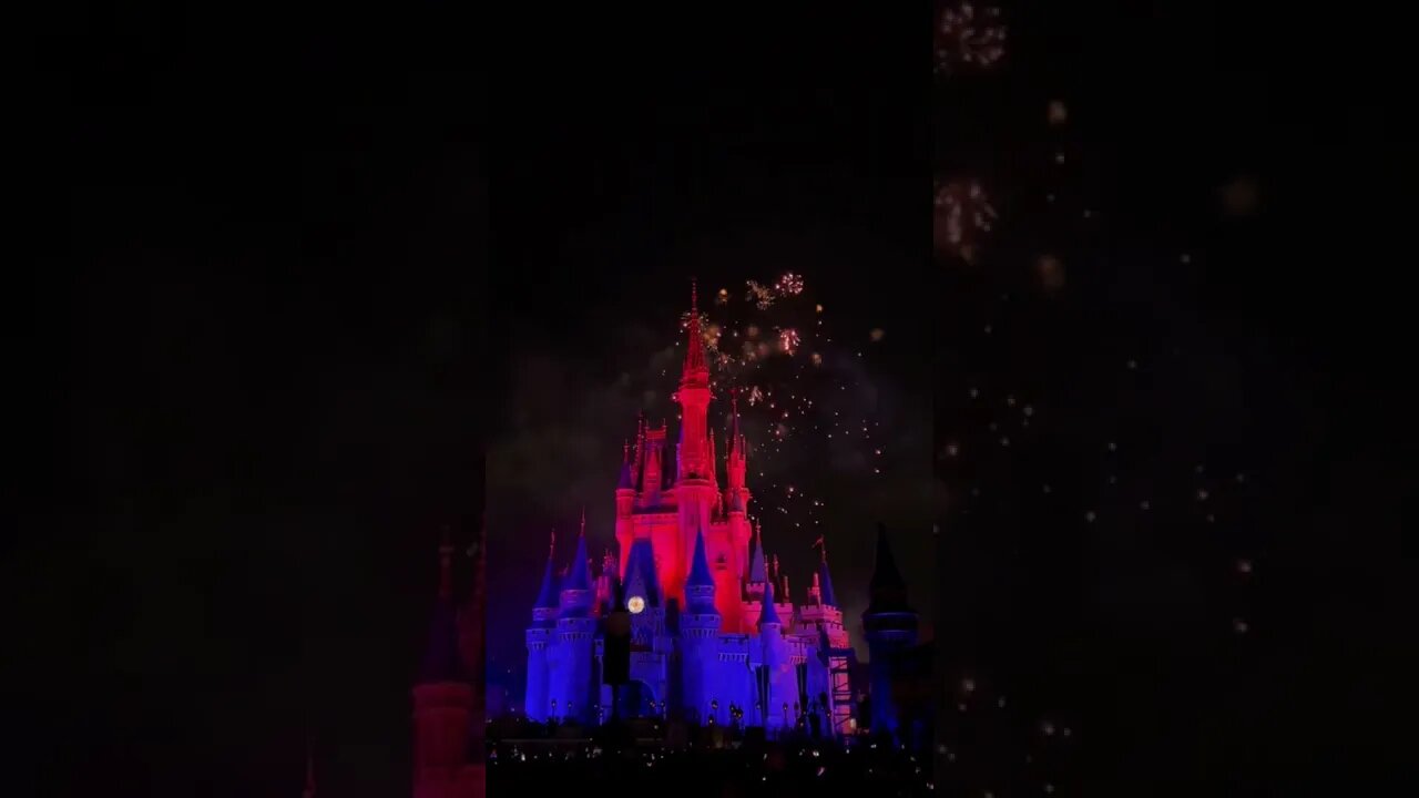 Disney's 4th of July!