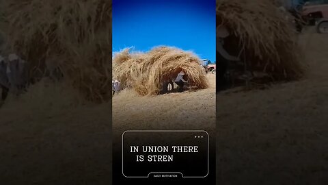 In union there is strength 👍#shorts #Viral video #Shorts