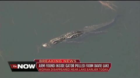 Gator dragged woman into lake, arm found inside