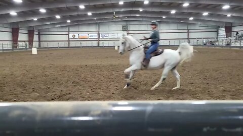 19 year old Arabian barrel racing.