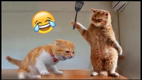 Best Animals funny video 😃😃😃