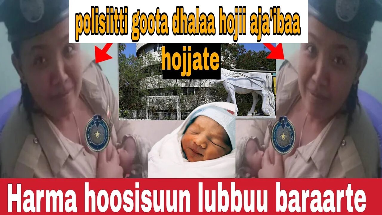 Dhalaa poolisii goota hojii ajaa'ibaa hojatee.#omn#bbcafaanoromo#voaafaanoromo