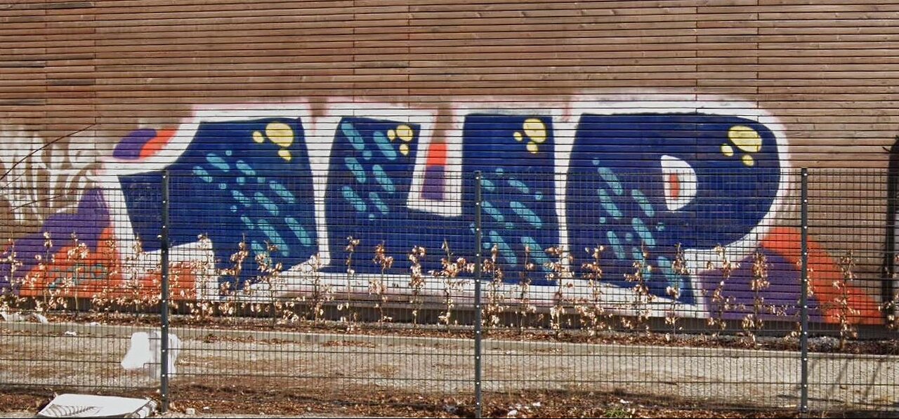 18+ Presenting: Graffiti Spotting Frankfurt - ADHD stuff - road to 1 follower/watcher