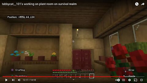 tabbycat__101's working on plant room on survival realm