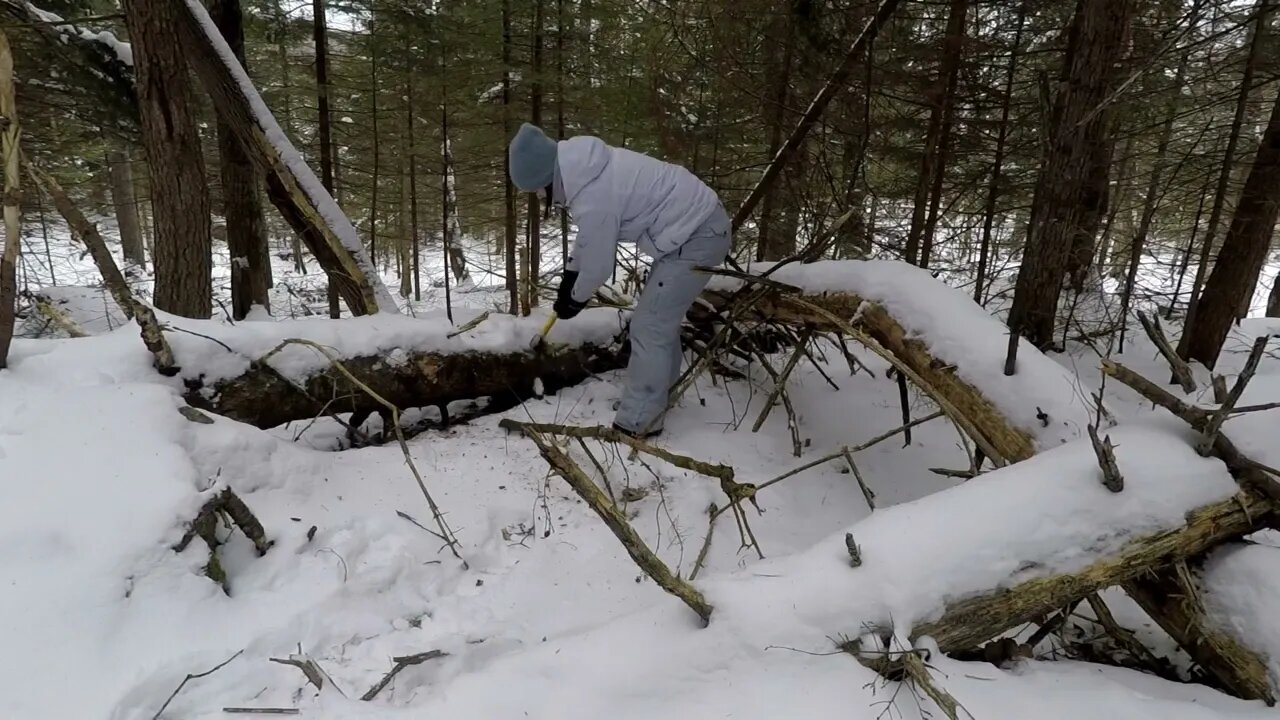 Winter Bushcraft: Camping with my Husky (-20⁰C)40 9