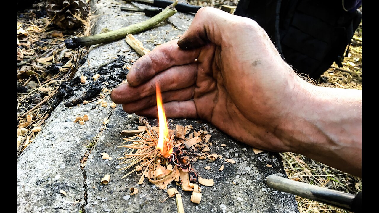 Wild Place Survival Tips
