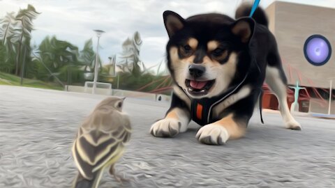 who sent you, birb?