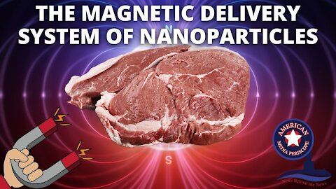 The Magnetic Delivery System Of Nanoparticles | HLIR Ep.3