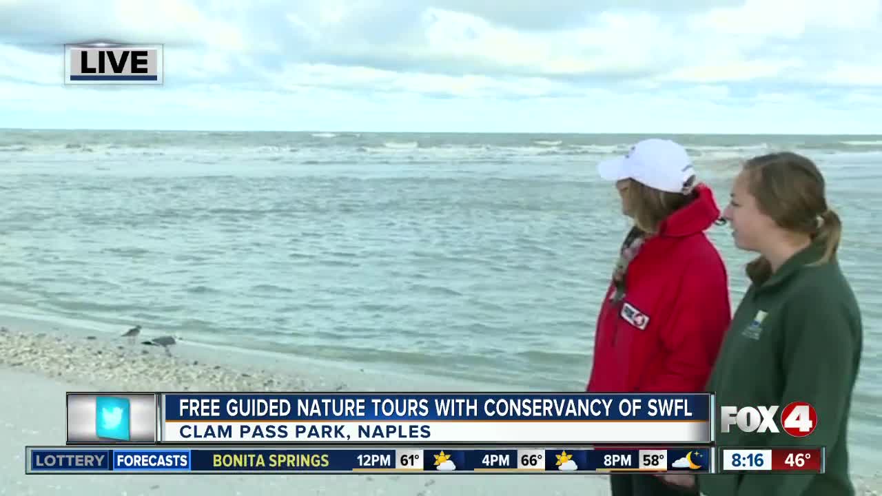 Volunteer Naturalists with Conservancy of SW Florida offer free guided nature tours daily in Naples