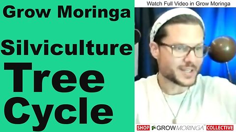 Moringa Tree Lifespan & Farming Orchard Techniques | Crop Rotation & Transporting Trees from Ground
