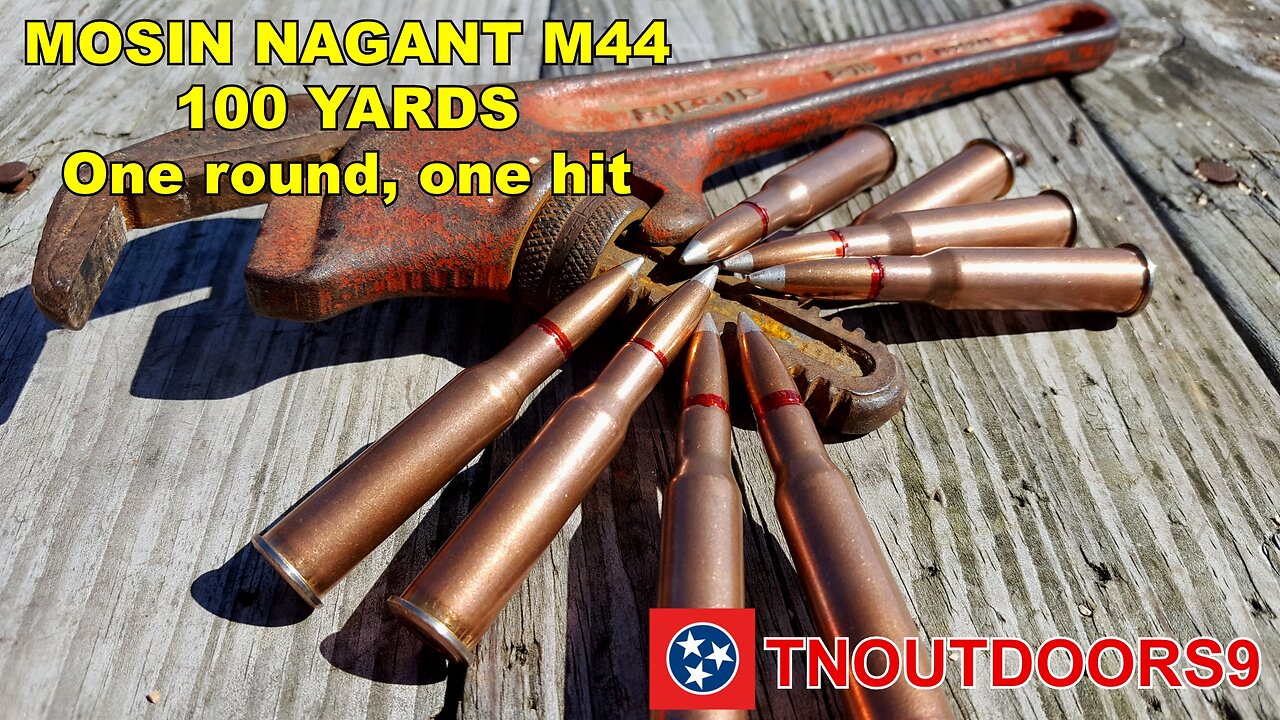 MOSIN NAGANT M44 - 100 YARDS One round One hit