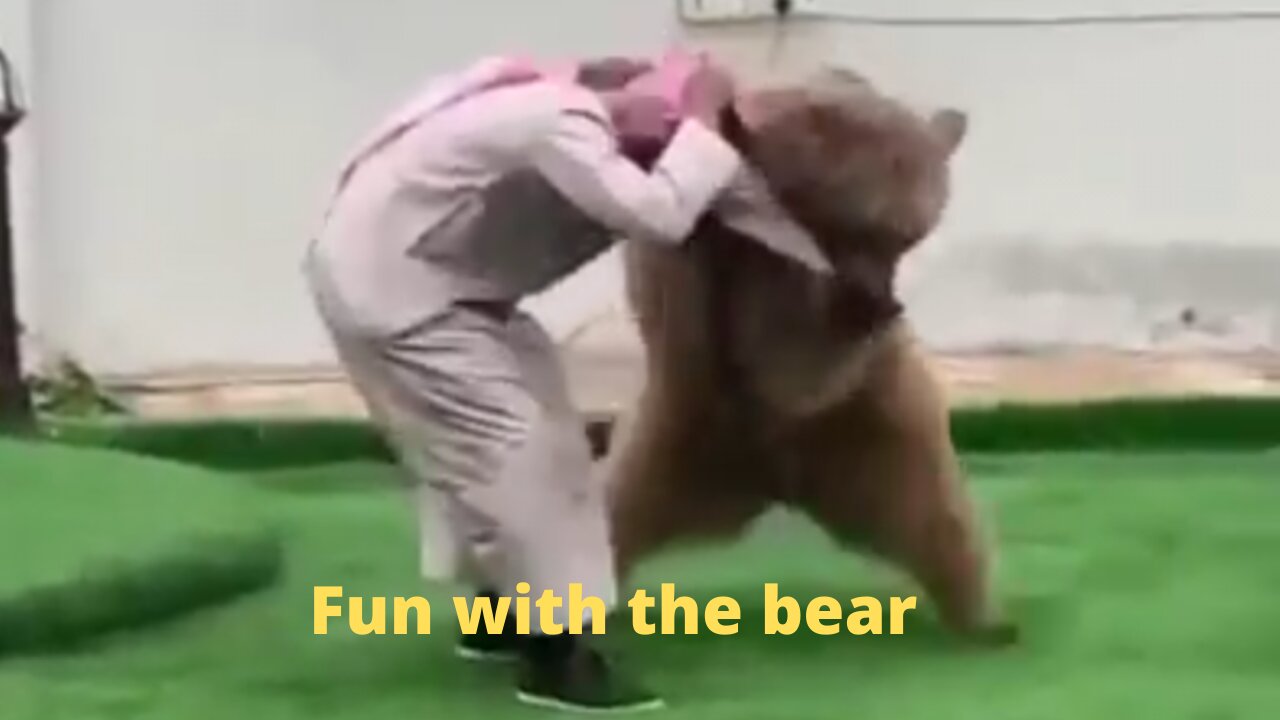 a fun day with your pet