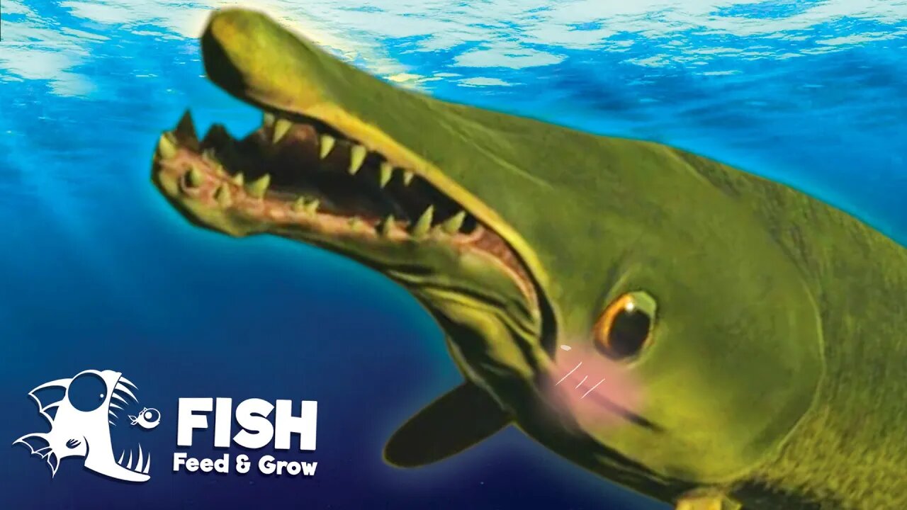 How I became an APEX PREDATOR!!! | Feed & Grow Fish Pt2