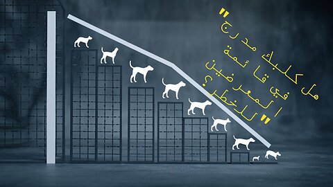 سلالات الكلاب الأكثر تأثراً بالأمراض: تعرف على ما إذا كان حيوانك الأليف مدرجًا في القائمة.