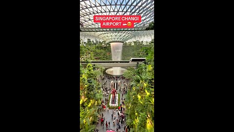 Beautiful Singapore Airport