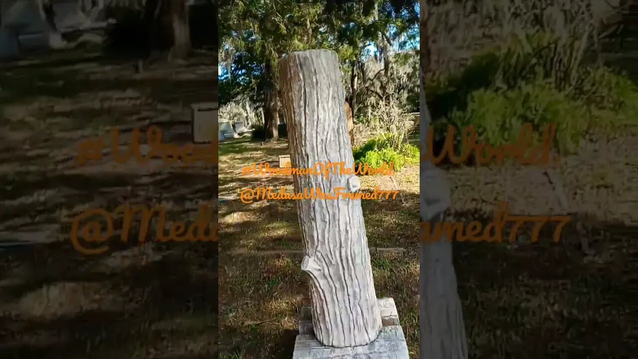 #taphophle. #WoodmanOfTheWorld @MedusaWasFramed777