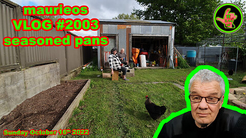 maurieos VLOG #2003 seasoned pans