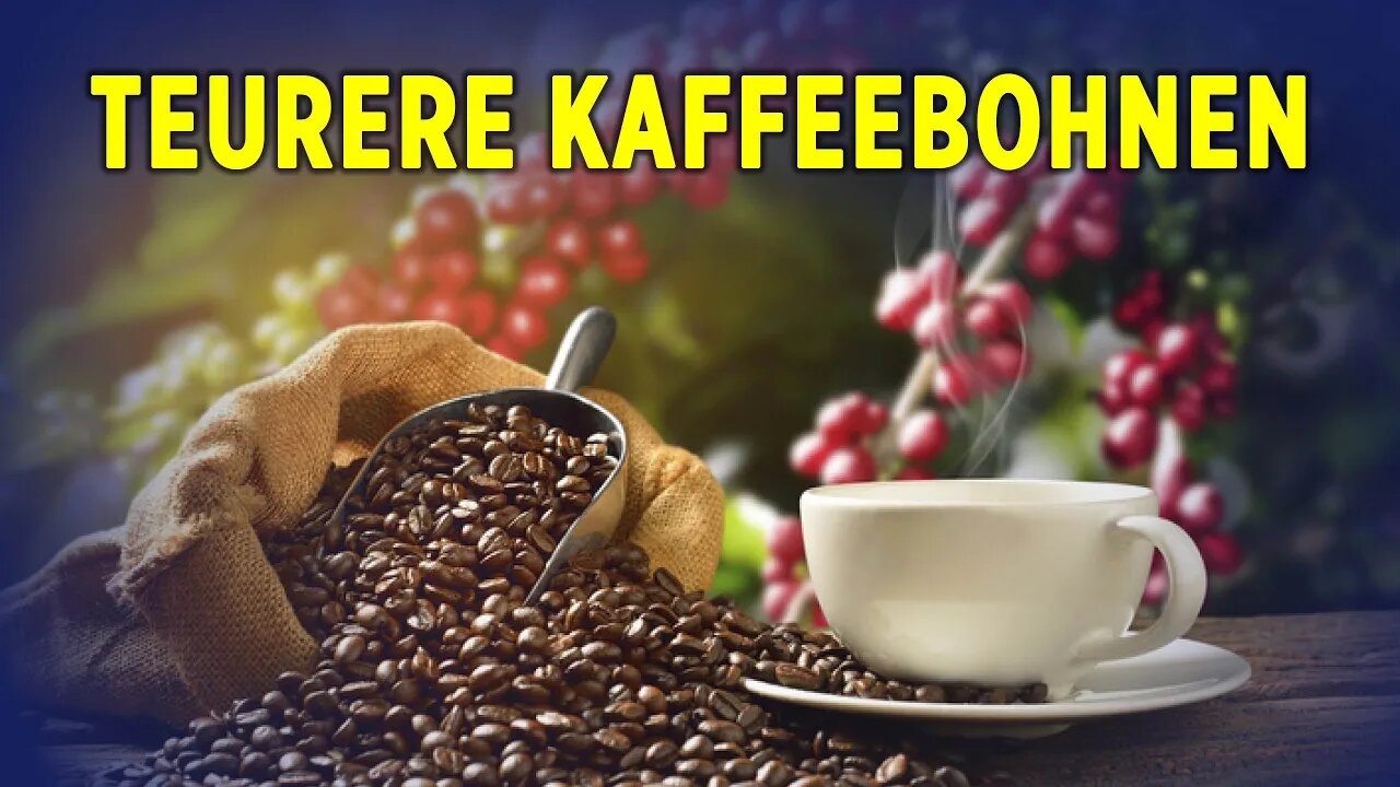 Preis für Kaffeebohnen hat sich seit 2020 verdoppelt