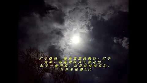 今天的每日聖經經文Jīntiān de měi rì shèngjīng jīng wén