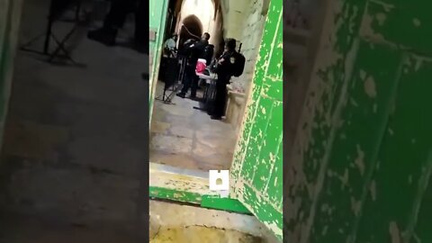 Jews 🤮 dancing infront of al aqsa mosque ☠️‌‌🇮🇱 🤮😡