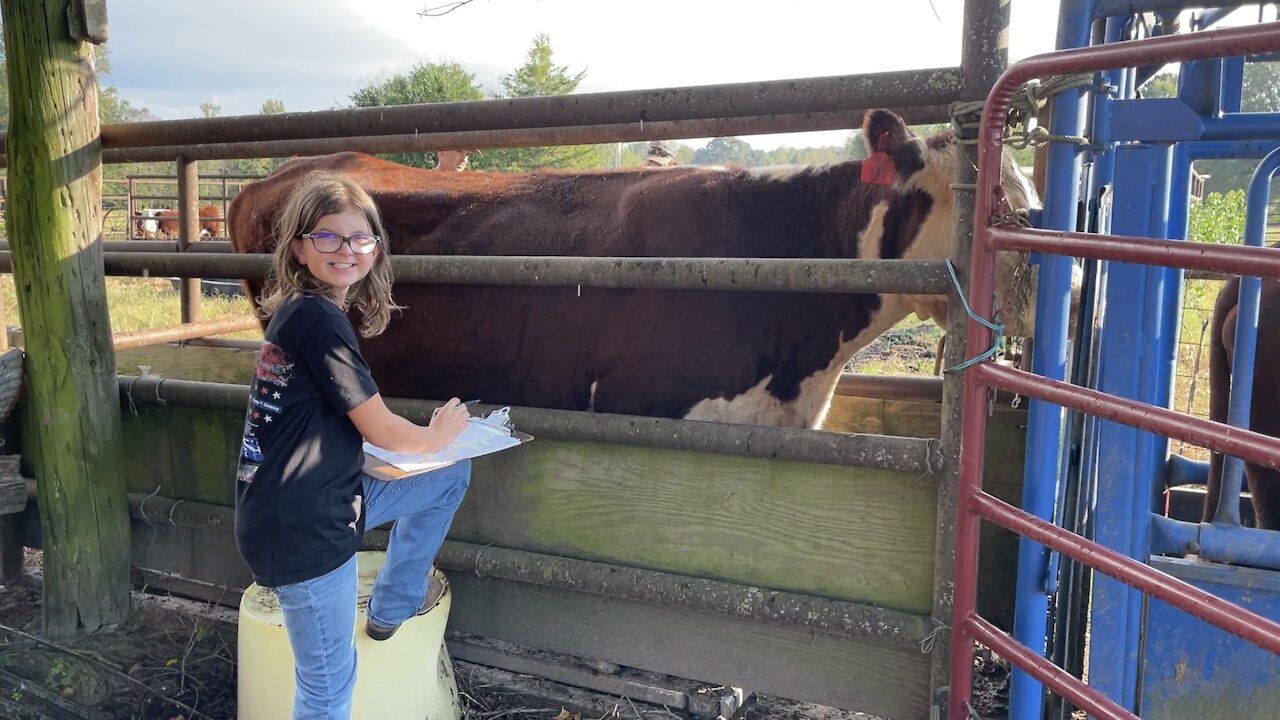 ✨Kara Sledge Learning Herd Health 🐮