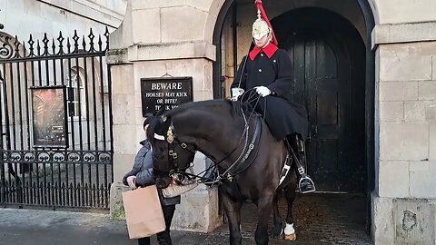 Horse wants bag or fingers #horseguardsparade