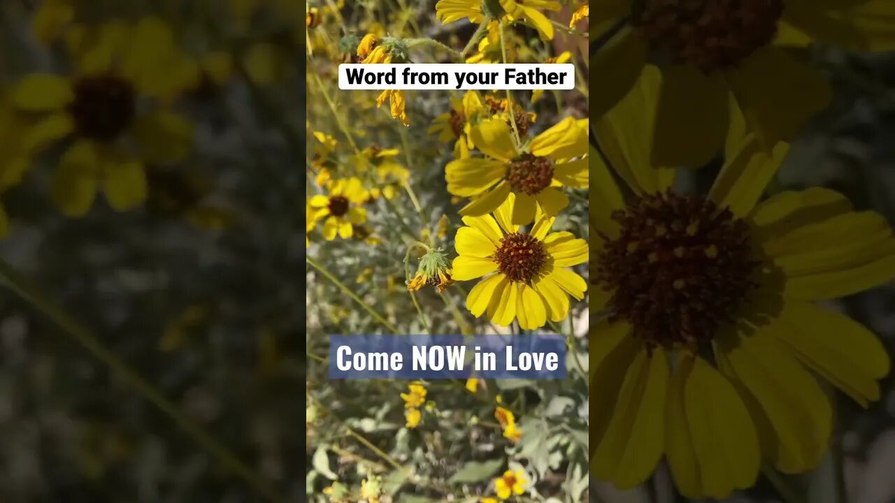 Come Now in Love - (rather than fear) - Word 5/4/23