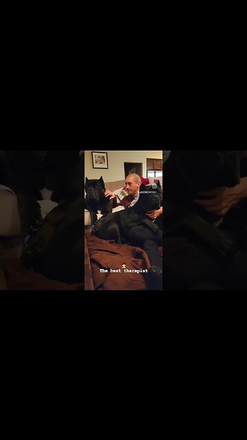 Dogs Are The BEST Therapists. Agree? #shorts #dog