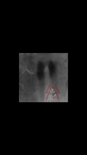 Footage from the commander of the battalion "Sparta""We continue to explore the frontline