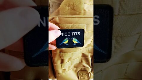 they're birds get your mind out of the gutter #shorts