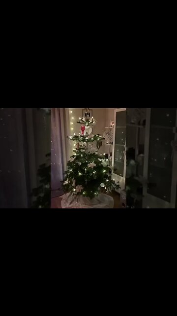 Scheene Weihnachten 🎄
